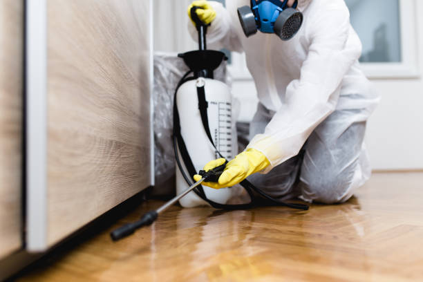 Best Emergency Pest Control  in Citrus, CA